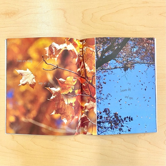 🍁 Fall-themed children’s book bundle - Picture 8 of 12